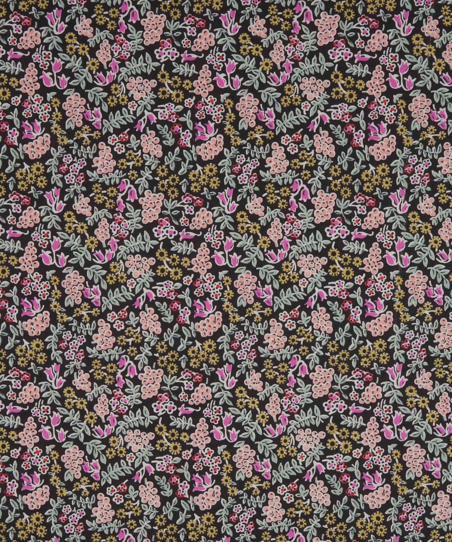 The Liberty Archive 1945 - Berry Charm