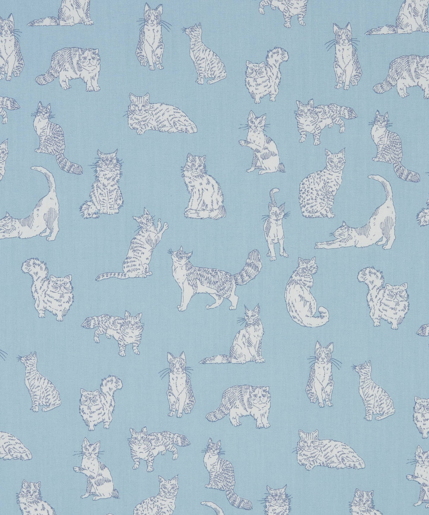 Liberty Japan - Eternal Collection 2025SS - Meow - light blue