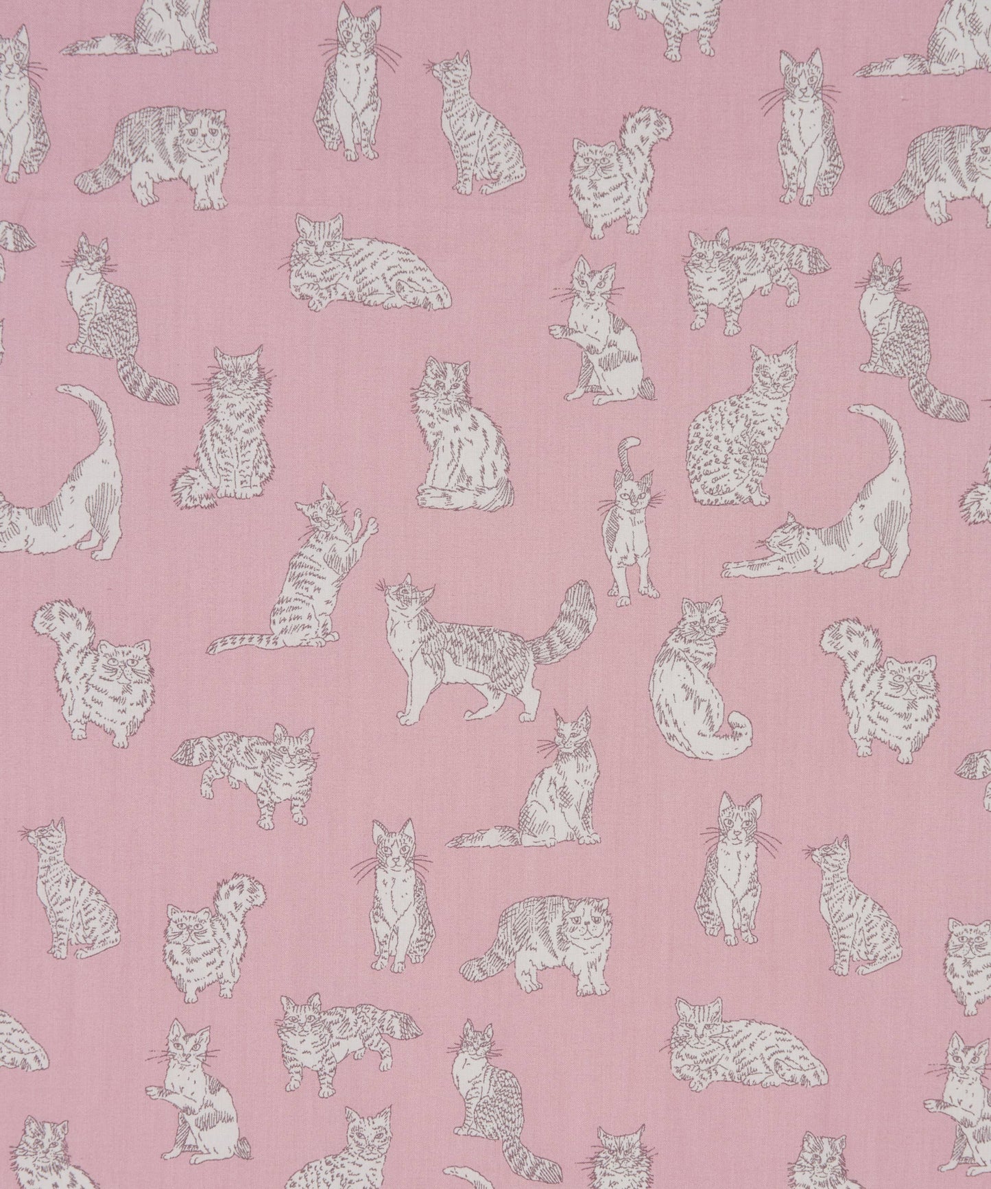 Liberty Japan - Eternal Collection 2025SS - Meow - Pink
