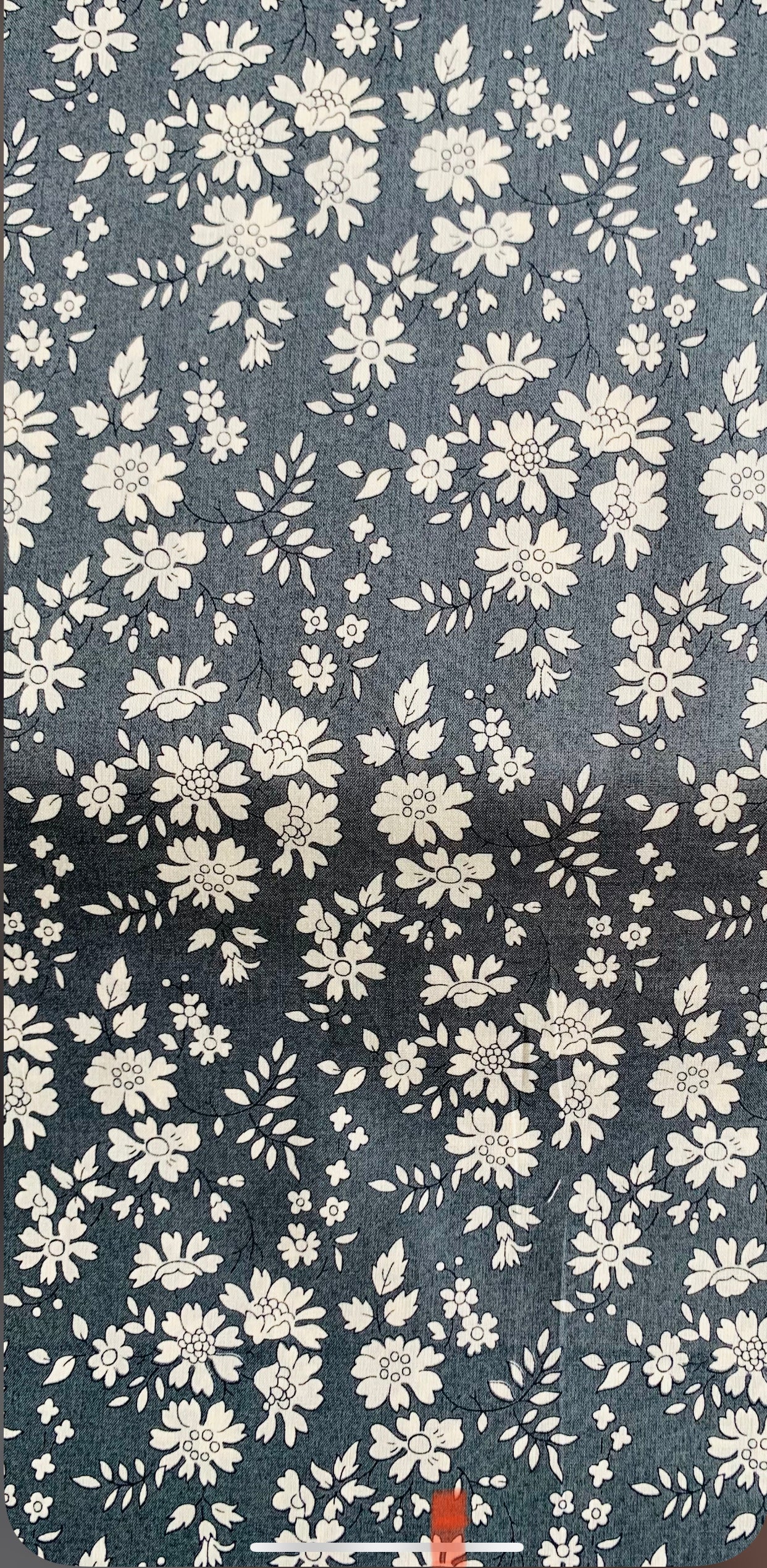 Liberty Japan -  Metre Sale -  Capel Grey