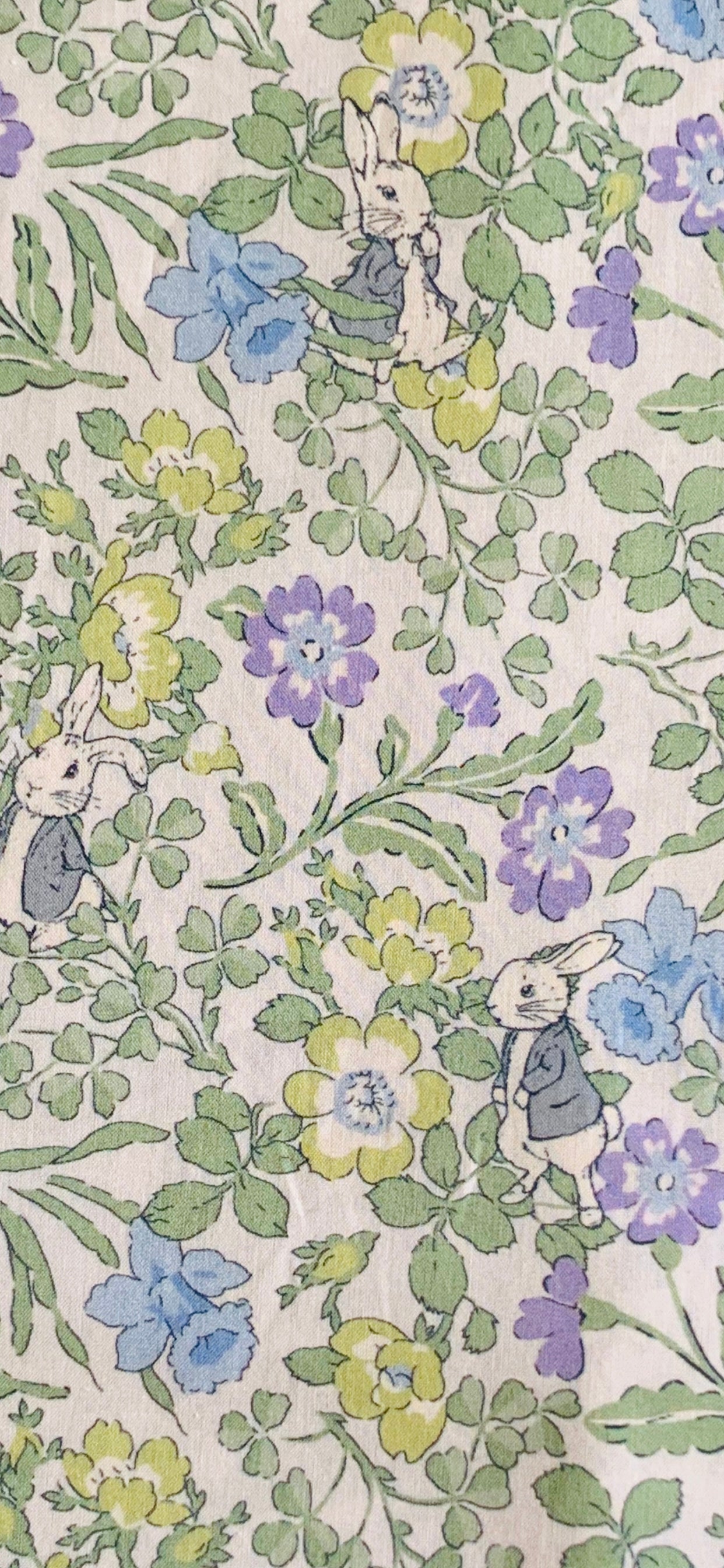 Liberty Japan -  Metre Sale -  Peter Rabbit walker rabbits