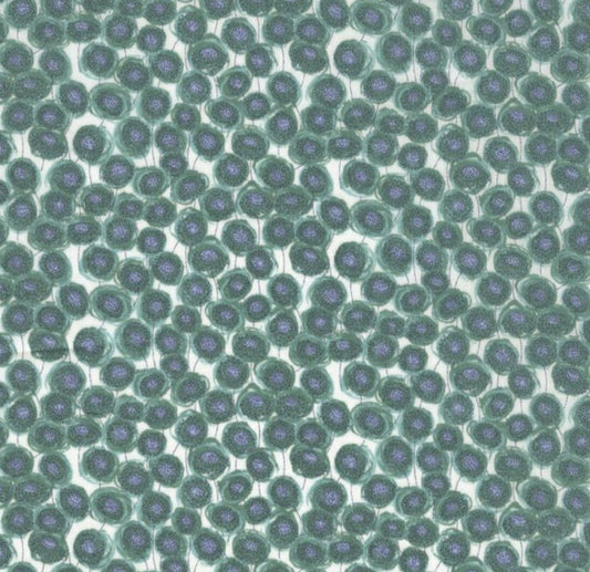 Liberty of London -  2023SS Sunbeam 22G - fat quarter
